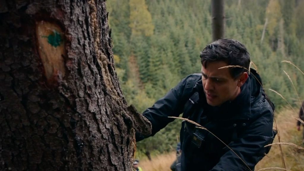 Alex Nedea Dupa Cioate